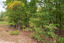 property photo for Wagon Wheel Ranch Tract 16, 9.99 acres for sale in Dent County, Missouri