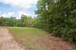 property photo for Wagon Wheel Ranch Tract 16, 9.99 acres for sale in Dent County, Missouri