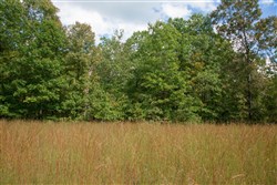 property photo for Wagon Wheel Ranch Tract 16, 9.99 acres for sale in Dent County, Missouri