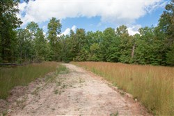property photo for Wagon Wheel Ranch Tract 16, 9.99 acres for sale in Dent County, Missouri