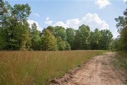property photo for Wagon Wheel Ranch Tract 16, 9.99 acres for sale in Dent County, Missouri