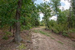 property photo for Wagon Wheel Ranch Tract 17, 10 acres for sale in Dent County, Missouri
