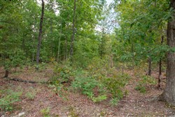 property photo for Wagon Wheel Ranch Tract 17, 10 acres for sale in Dent County, Missouri