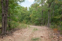property photo for Wagon Wheel Ranch Tract 17, 10 acres for sale in Dent County, Missouri