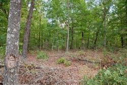 property photo for Wagon Wheel Ranch Tract 17, 10 acres for sale in Dent County, Missouri