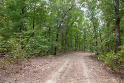 property photo for Wagon Wheel Ranch Tract 18, 7.9 acres for sale in Dent County, Missouri