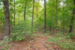 property photo for Wagon Wheel Ranch Tract 18, 7.9 acres for sale in Dent County, Missouri