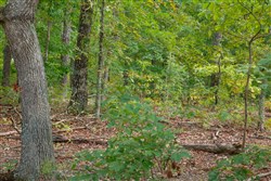 property photo for Wagon Wheel Ranch Tract 18, 7.9 acres for sale in Dent County, Missouri