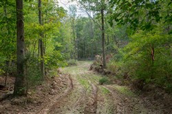 property photo for Wagon Wheel Ranch Tract 19, 7.5 acres for sale in Dent County, Missouri