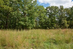 property photo for Wagon Wheel Ranch Tract 19, 7.5 acres for sale in Dent County, Missouri