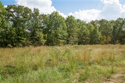 property photo for Wagon Wheel Ranch Tract 19, 7.5 acres for sale in Dent County, Missouri