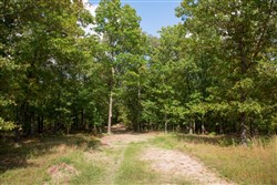 property photo for Wagon Wheel Ranch Tract 19, 7.5 acres for sale in Dent County, Missouri