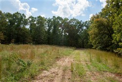 property photo for Wagon Wheel Ranch Tract 19, 7.5 acres for sale in Dent County, Missouri