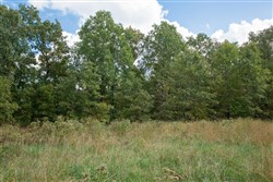 property photo for Wagon Wheel Ranch Tract 19, 7.5 acres for sale in Dent County, Missouri