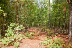 property photo for Wagon Wheel Ranch Tract 2, 5 acres for sale in Dent County, Missouri