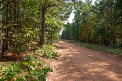 property photo for Wagon Wheel Ranch Tract 2, 5 acres for sale in Dent County, Missouri