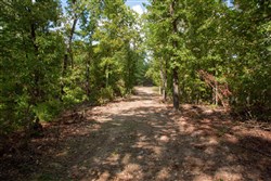 property photo for Wagon Wheel Ranch Tract 20, 12.64 acres for sale in Dent County, Missouri