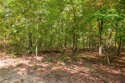 property photo for Wagon Wheel Ranch Tract 20, 12.64 acres for sale in Dent County, Missouri