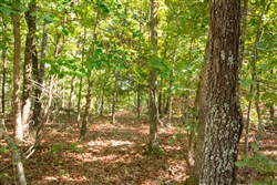 property photo for Wagon Wheel Ranch Tract 20, 12.64 acres for sale in Dent County, Missouri