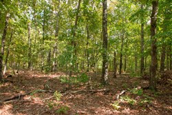 property photo for Wagon Wheel Ranch Tract 20, 12.64 acres for sale in Dent County, Missouri
