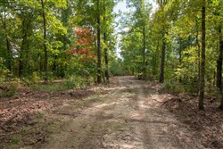 property photo for Wagon Wheel Ranch Tract 20, 12.64 acres for sale in Dent County, Missouri