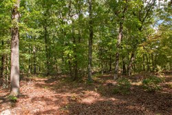 property photo for Wagon Wheel Ranch Tract 20, 12.64 acres for sale in Dent County, Missouri