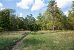 property photo for Wagon Wheel Ranch Tract 21, 11.07 acres for sale in Dent County, Missouri