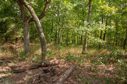 property photo for Wagon Wheel Ranch Tract 21, 11.07 acres for sale in Dent County, Missouri