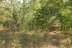 property photo for Wagon Wheel Ranch Tract 21, 11.07 acres for sale in Dent County, Missouri