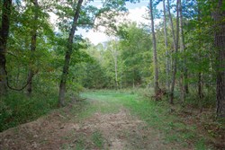 property photo for Wagon Wheel Ranch Tract 21, 11.07 acres for sale in Dent County, Missouri
