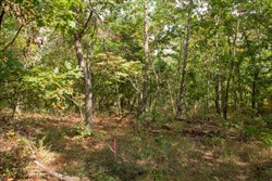property photo for Wagon Wheel Ranch Tract 21, 11.07 acres for sale in Dent County, Missouri