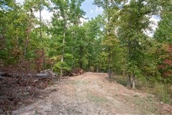 property photo for Wagon Wheel Ranch Tract 22, 10.11 acres for sale in Dent County, Missouri