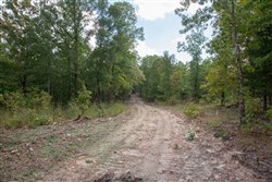 property photo for Wagon Wheel Ranch Tract 22, 10.11 acres for sale in Dent County, Missouri
