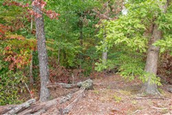 property photo for Wagon Wheel Ranch Tract 22, 10.11 acres for sale in Dent County, Missouri
