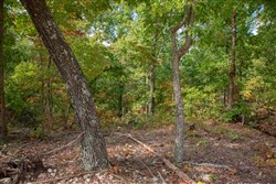 property photo for Wagon Wheel Ranch Tract 22, 10.11 acres for sale in Dent County, Missouri