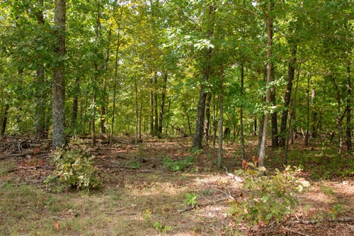 Wagon Wheel Ranch Tract 23