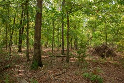 Wagon Wheel Ranch Tract 23