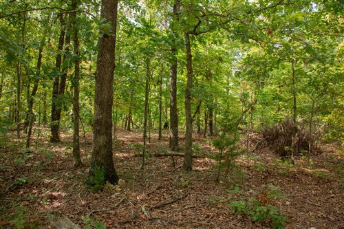 Wagon Wheel Ranch Tract 23