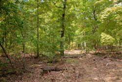 Wagon Wheel Ranch Tract 23