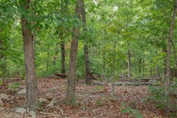 property photo for Wagon Wheel Ranch Tract 24, 11.19 acres for sale in Dent County, Missouri