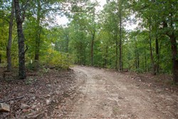 property photo for Wagon Wheel Ranch Tract 24, 11.19 acres for sale in Dent County, Missouri