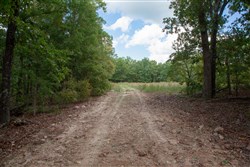 property photo for Wagon Wheel Ranch Tract 24, 11.19 acres for sale in Dent County, Missouri