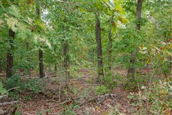 property photo for Wagon Wheel Ranch Tract 24, 11.19 acres for sale in Dent County, Missouri