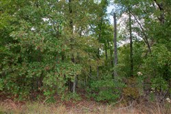 property photo for Wagon Wheel Ranch Tract 24, 11.19 acres for sale in Dent County, Missouri