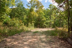 property photo for Wagon Wheel Ranch Tract 25, 9.31 acres for sale in Dent County, Missouri