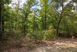 property photo for Wagon Wheel Ranch Tract 25, 9.31 acres for sale in Dent County, Missouri