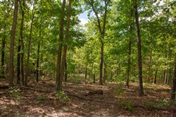 property photo for Wagon Wheel Ranch Tract 25, 9.31 acres for sale in Dent County, Missouri