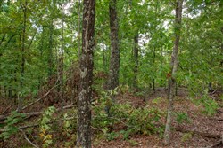 property photo for Wagon Wheel Ranch Tract 25, 9.31 acres for sale in Dent County, Missouri