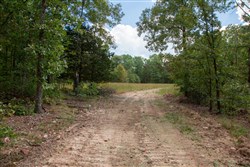 property photo for Wagon Wheel Ranch Tract 26, 8.14 acres for sale in Dent County, Missouri