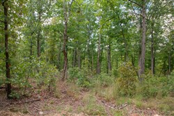 property photo for Wagon Wheel Ranch Tract 26, 8.14 acres for sale in Dent County, Missouri